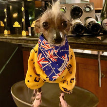 Load image into Gallery viewer, Australian Printed Clip On Bandanas