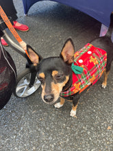 Load image into Gallery viewer, Gingerbread Christmas Vest)