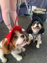 Load image into Gallery viewer, SunHats