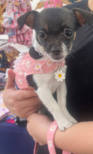 Load image into Gallery viewer, Daisy Vest