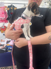 Load image into Gallery viewer, Daisy Vest