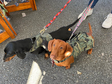 Load image into Gallery viewer, Army Studded Dress