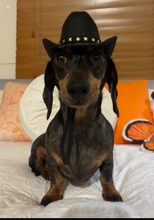 Load image into Gallery viewer, Cowboy Hat