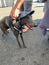 Load image into Gallery viewer, SunHats