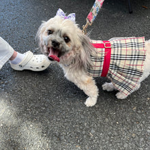 Load image into Gallery viewer, Burberry Look Dress