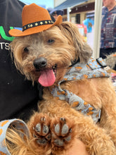 Load image into Gallery viewer, Cowboy Hat