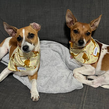 Load image into Gallery viewer, Australian Printed Clip On Bandanas