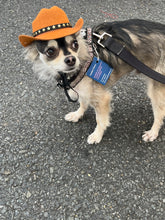 Load image into Gallery viewer, Cowboy Hat