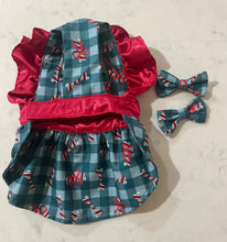 Load image into Gallery viewer, Candy Bones and Bows