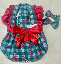 Load image into Gallery viewer, Candy Bones and Bows