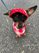 Load image into Gallery viewer, SunHats