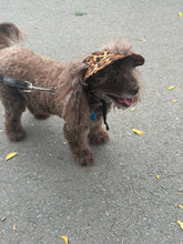 Load image into Gallery viewer, SunHats