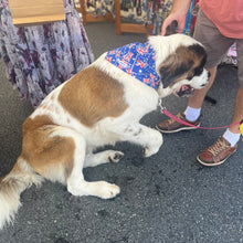 Load image into Gallery viewer, Australian Printed Clip On Bandanas