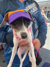 Load image into Gallery viewer, SunHats