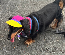 Load image into Gallery viewer, SunHats