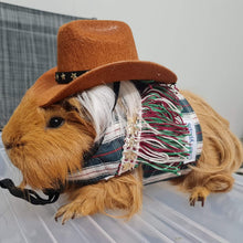 Load image into Gallery viewer, Cowboy Hat