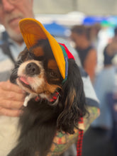 Load image into Gallery viewer, SunHats