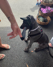 Load image into Gallery viewer, SunHats