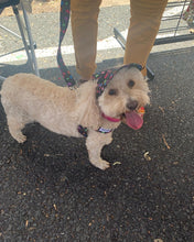 Load image into Gallery viewer, SunHats