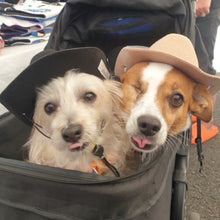 Load image into Gallery viewer, Cowboy Hat