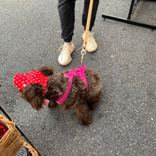 Load image into Gallery viewer, SunHats