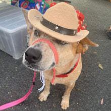 Load image into Gallery viewer, Cowboy Hat