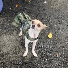 Load image into Gallery viewer, Army Studded Dress