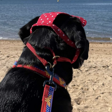 Load image into Gallery viewer, SunHats