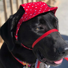 Load image into Gallery viewer, SunHats