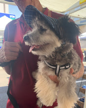 Load image into Gallery viewer, SunHats