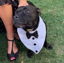 Load image into Gallery viewer, Tuxedo & Cuffs