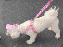 Load image into Gallery viewer, Pink Roses Step-in Harness