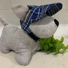 Load image into Gallery viewer, SunHats