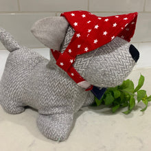 Load image into Gallery viewer, SunHats