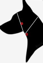 Load image into Gallery viewer, SunHats