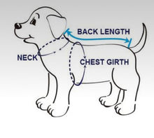 Load image into Gallery viewer, Leopard Step-in Harness