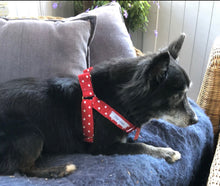 Load image into Gallery viewer, Red & White Stars Step-in Harness