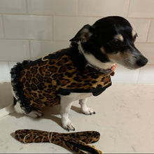 Load image into Gallery viewer, Leopard Vest Harness - Girls Or Boys