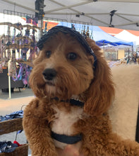 Load image into Gallery viewer, SunHats