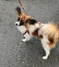 Load image into Gallery viewer, Leopard Step-in Harness