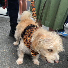 Load image into Gallery viewer, Leopard Vest Harness - Girls Or Boys