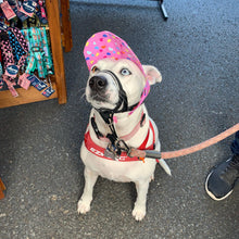 Load image into Gallery viewer, SunHats