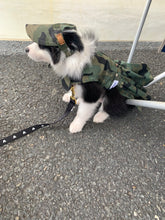 Load image into Gallery viewer, SunHats