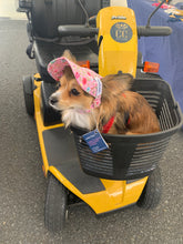 Load image into Gallery viewer, SunHats