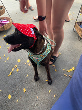 Load image into Gallery viewer, SunHats