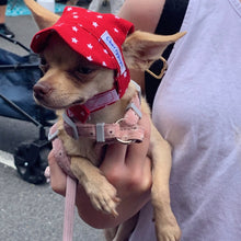 Load image into Gallery viewer, SunHats