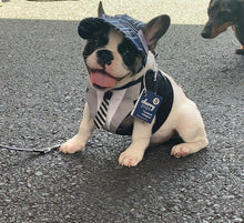 Load image into Gallery viewer, SunHats