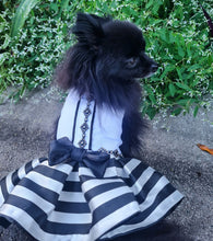 Load image into Gallery viewer, Striped Elegance Cocktail Dress