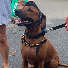 Load image into Gallery viewer, SunHats