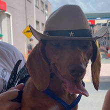 Load image into Gallery viewer, Cowboy Hat